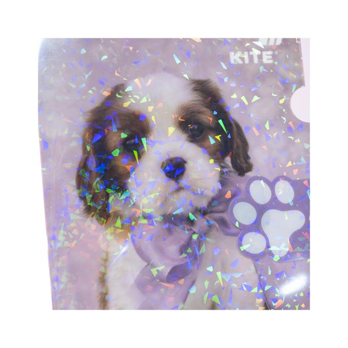 Kite R25-248