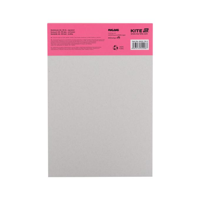 Kite ML25-194-2