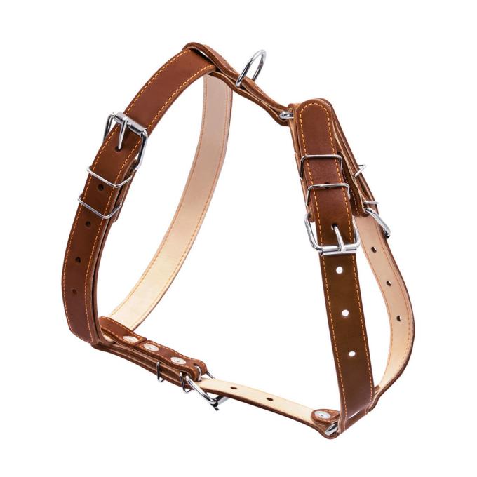 Collar 06426