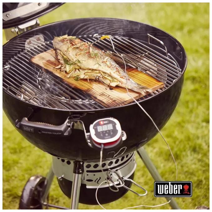 Weber 17301004