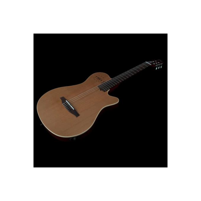 Godin 235919
