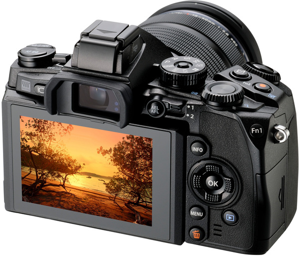 Цифровая фотокамера Olympus E-M1 12-40 Kit Black/Black