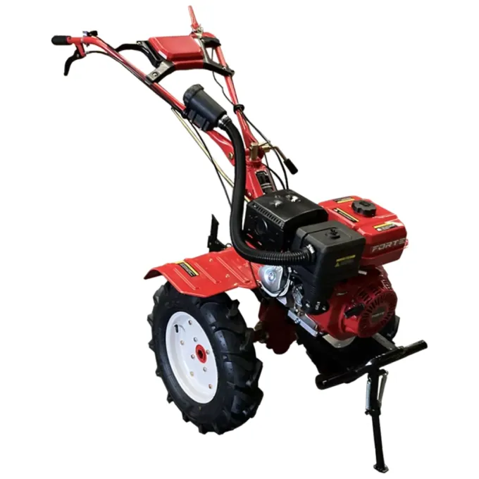 FORTE 119900