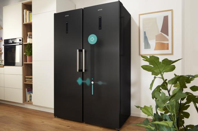 Gorenje FN619EABK6