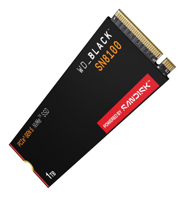 SANDISK WDS100T1X0M