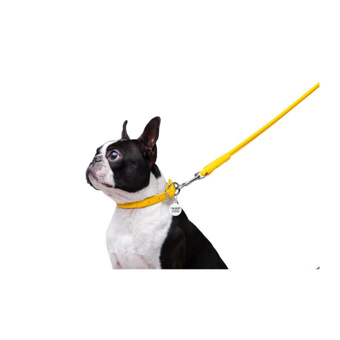 WAUDOG 33778