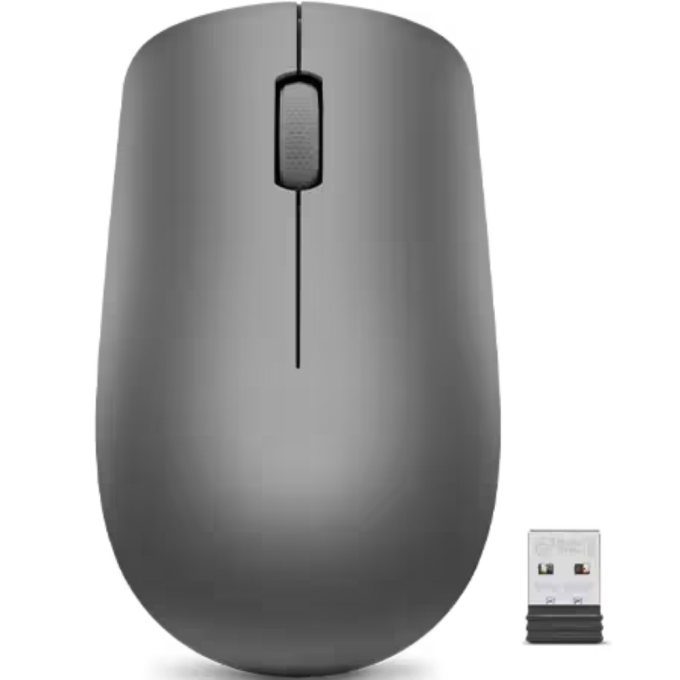 Lenovo GY50Z49089