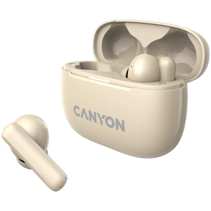 Canyon CNS-TWS10BG