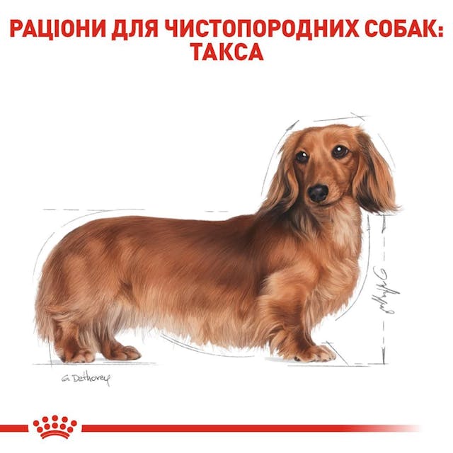 Royal Canin 3059015