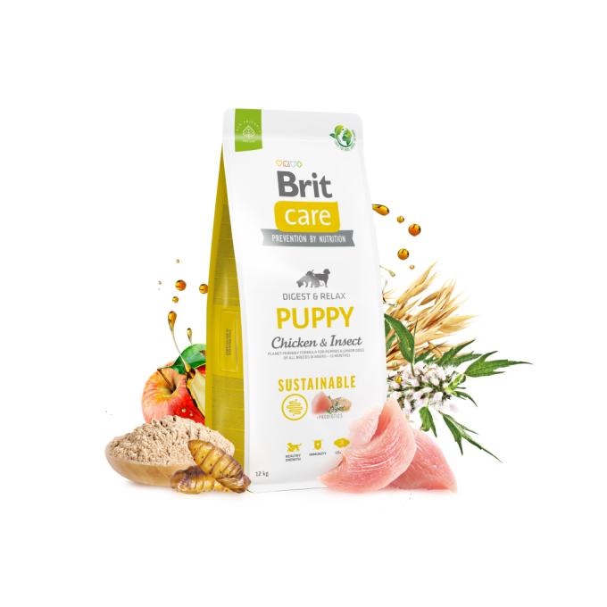 Brit Care 8595602558629