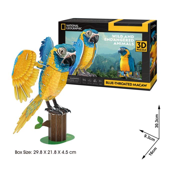 Cubic Fun DS1097h