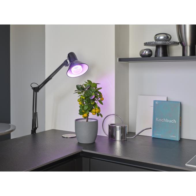 OSRAM 4058075845800