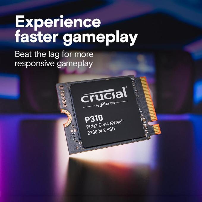 Crucial CT1000P310SSD2