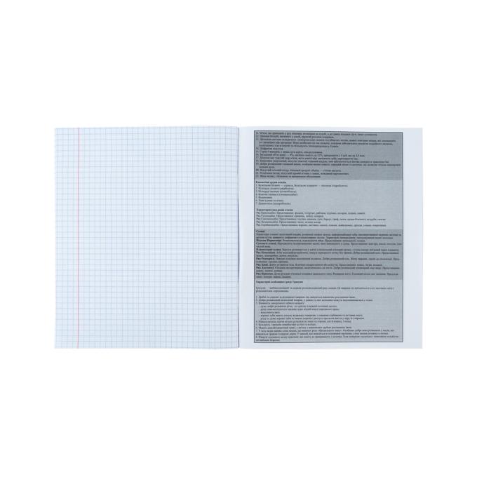Kite K24-240-17
