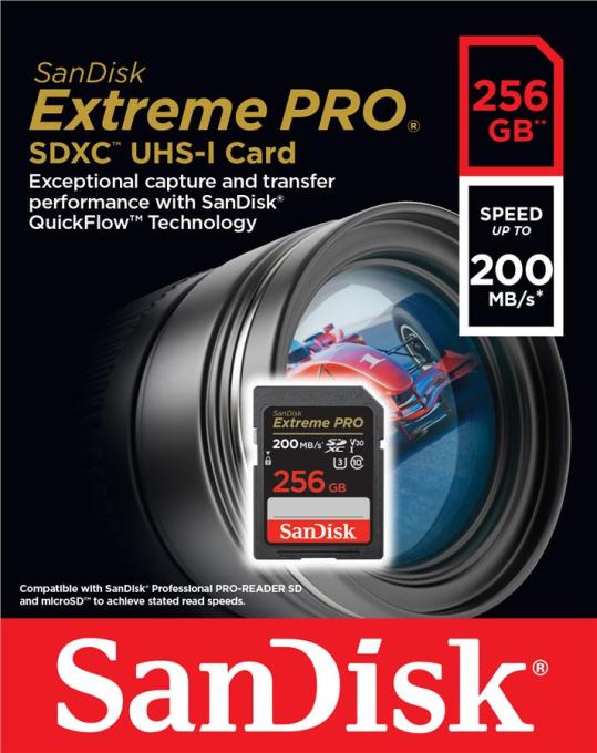 SANDISK SDSDXXD-256G-GN4IN