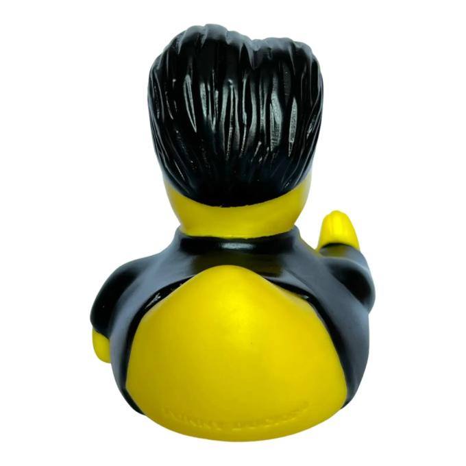 Funny Ducks 1324
