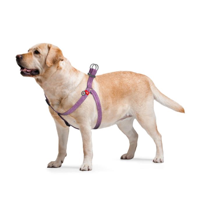 WAUDOG 03249