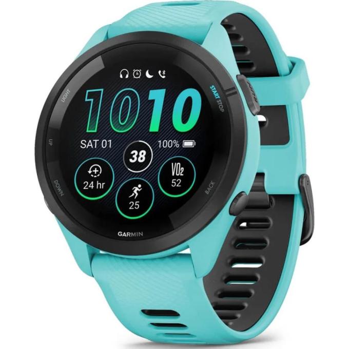 Garmin 010-02810-52