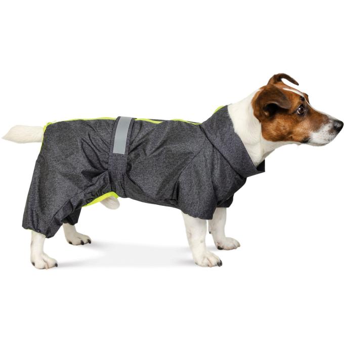 Pet Fashion 4823082416431