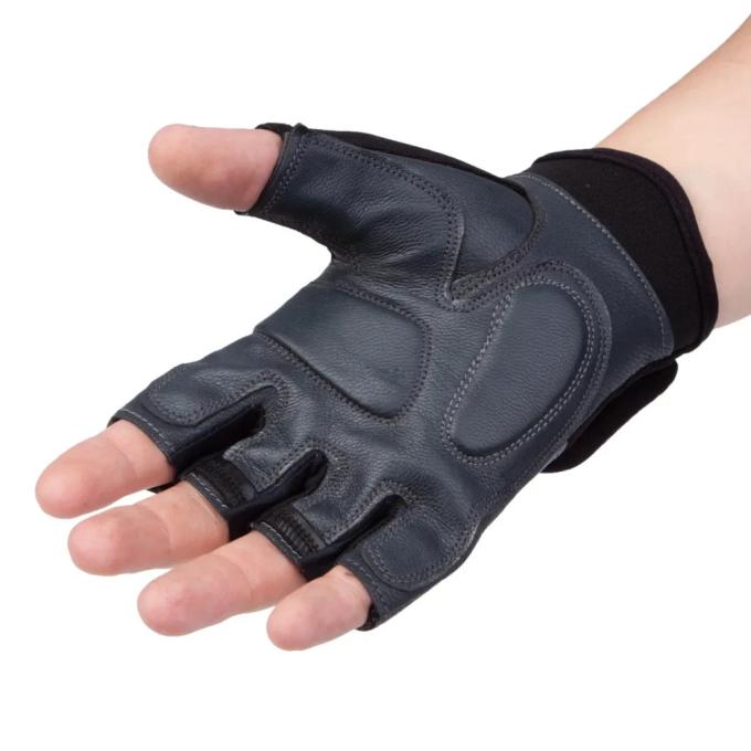 PowerPlay PP_2229_L_Black