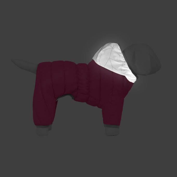 Collar 24217