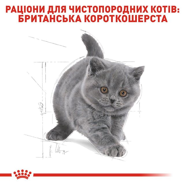 Royal Canin 2566004