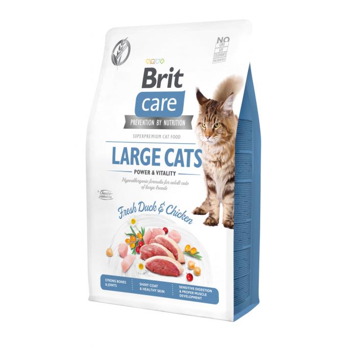 Brit Care 8595602540914