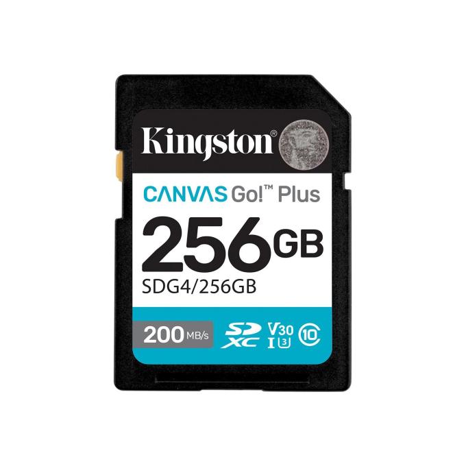Kingston SDG4/256GB