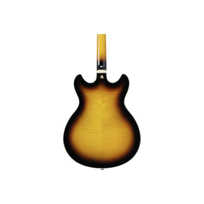 Ibanez 232548