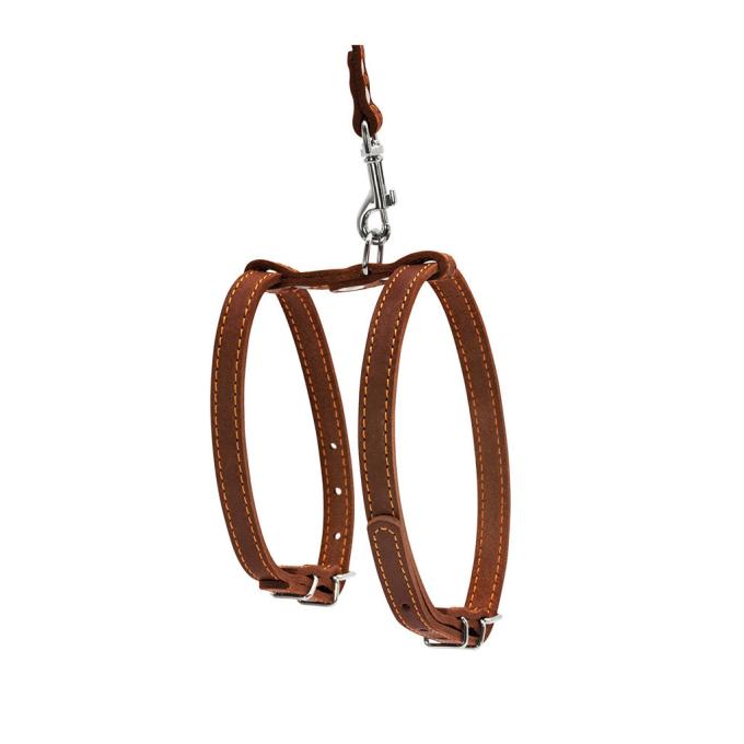Collar 05476