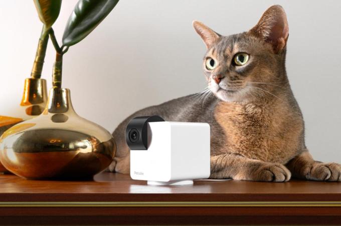 PETCUBE P36010US