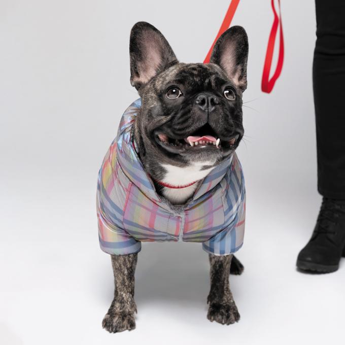 Pet Fashion 4823082428915