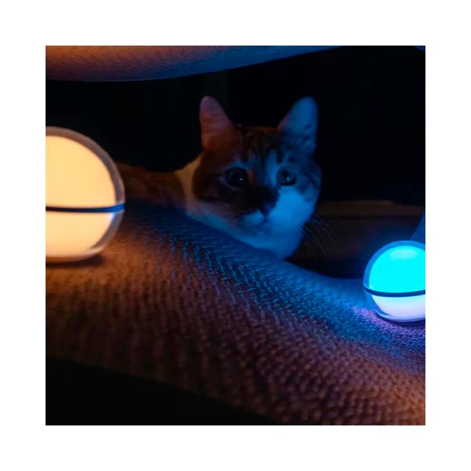 Olight 0.0008.0064