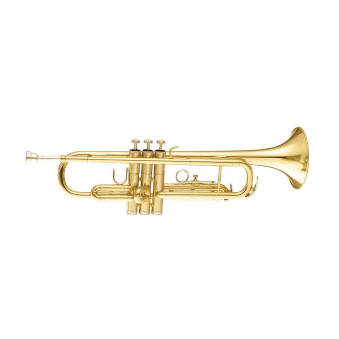 Maxtone TTC30L (TTC1C)
