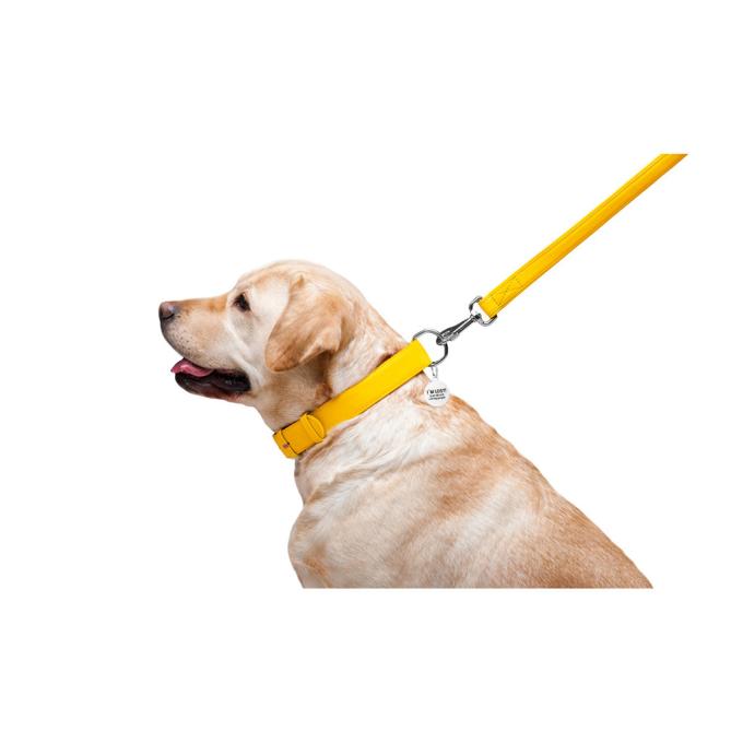 WAUDOG 33768