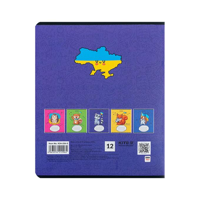 Kite K24-234-2