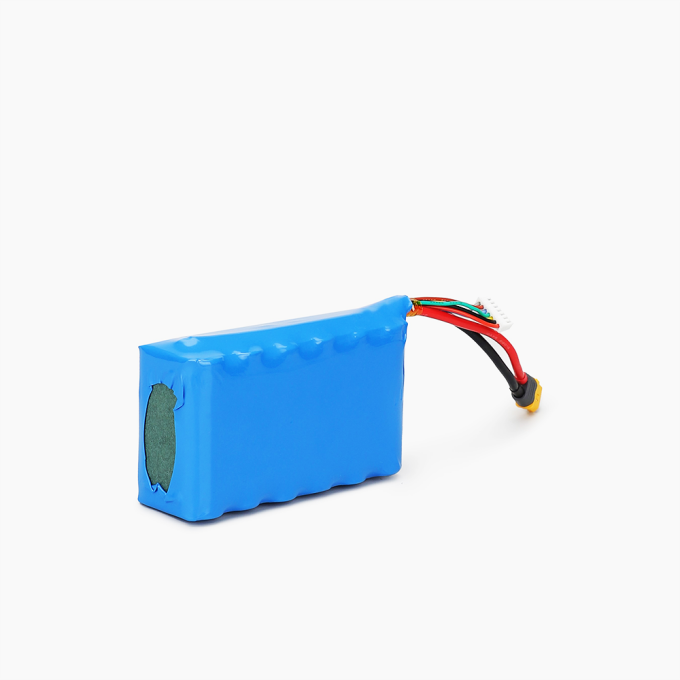 Molicel 6S2P INR21700-P42A