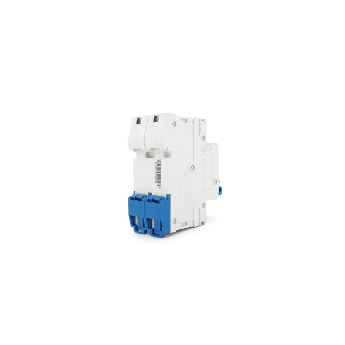 Chint NB1-63DC 2P C10 DC500V