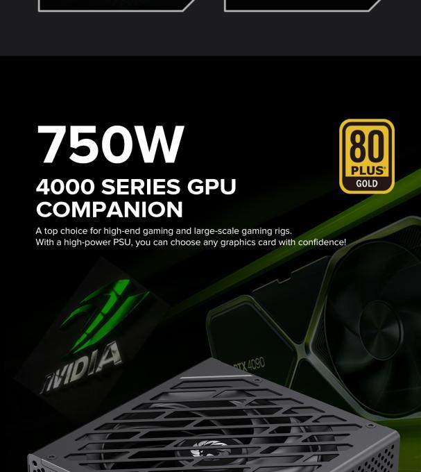 GAMEMAX GX-750 PRO BK(ATX3.1PCIe5.1)