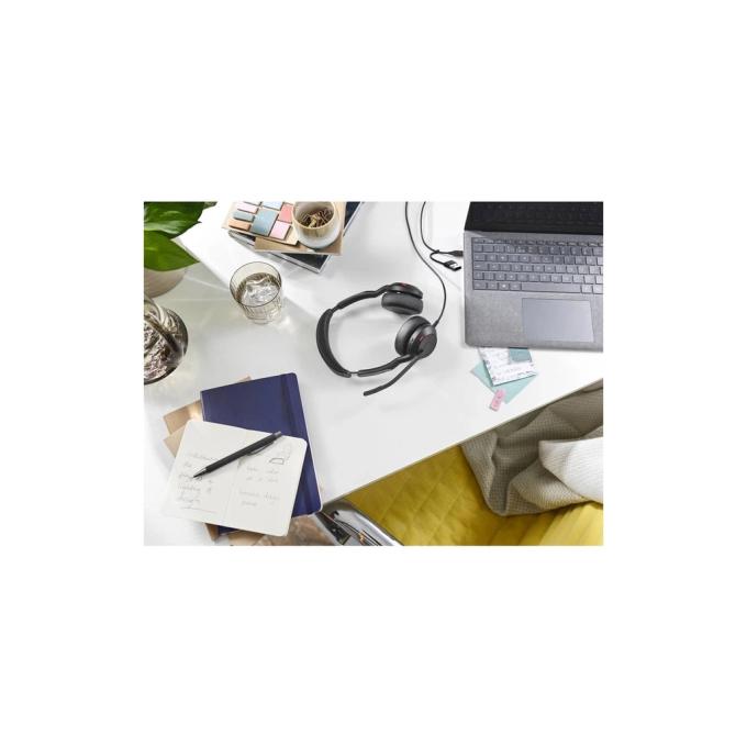Jabra 25089-999-799