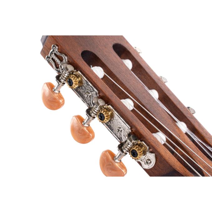 Cort AC100DX OP