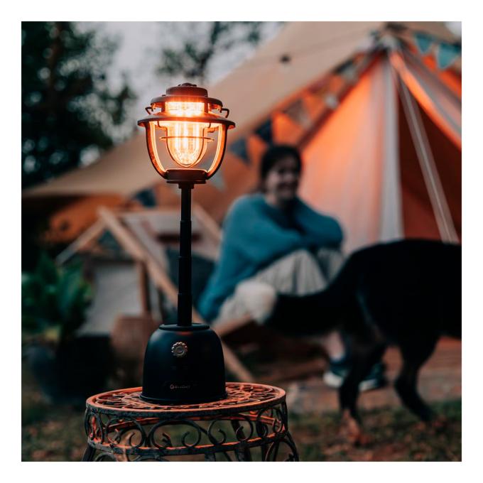 Olight 0.0009.0043