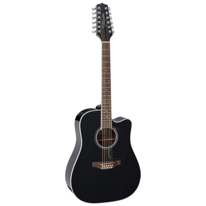 Takamine 234763