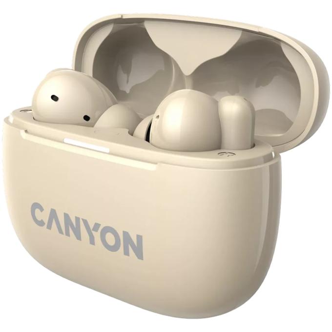 Canyon CNS-TWS10BG