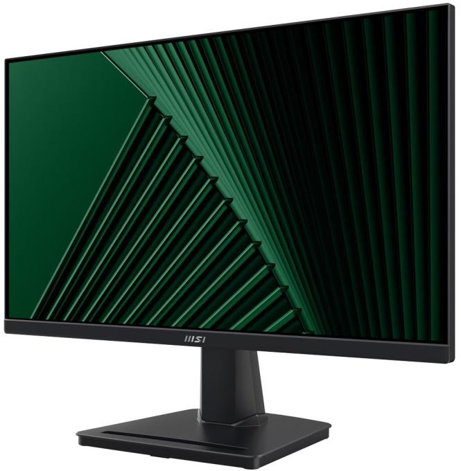 MSI Pro MP225V