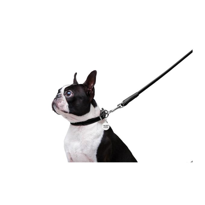 WAUDOG 33771