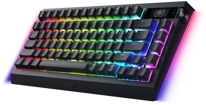 Razer RZ03-05130100-R3M1
