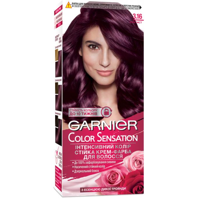 Garnier 3600541135796