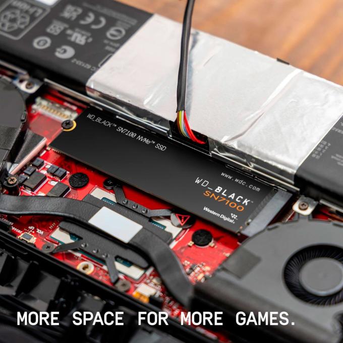 WD WDS100T4X0E