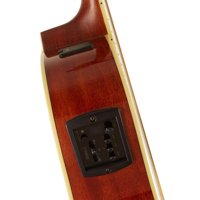 Yamaha FSX820C Brown Sunburst